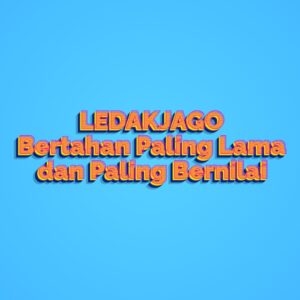 LEDAKJAGO Bertahan Paling Lama dan Paling Bernilai